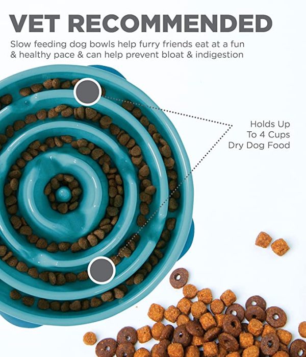 Outward Hound Fun Feeder Slo Bowl Turquoise Large - Image 3