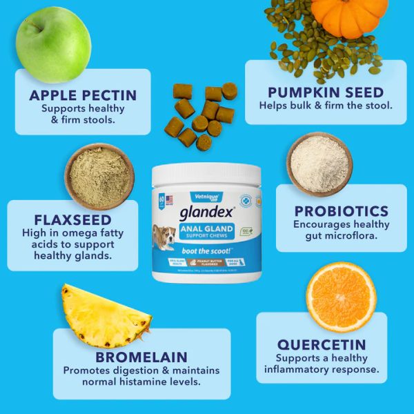 Glandex Anal Gland Soft Chew Peanut Butter 60ct - Image 4